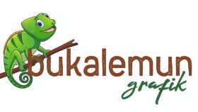 logonuzu yapabilirim