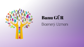 İş örneğim