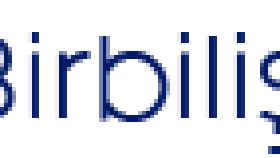 Birbilişim Logo