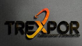 Trexpor logo çalışması