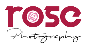 Rose photography