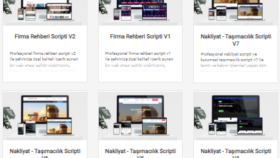 Profesyonel Web Yazılımlar