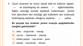 özgün ve kaliteli Türkçe ve edebiyat soruları  hazırlarım