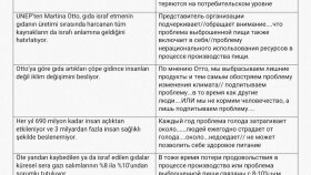 Çevirmen