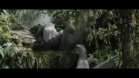 Her tarza uygun video