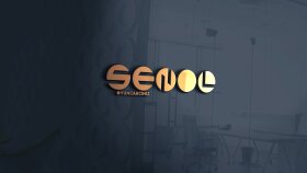 Şenol Oyuncak - Logo