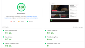 tugbayaprak.com Litespeed Optimizasyonu