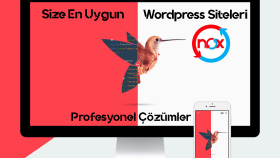anahtar teslim web sitenizi 7 gün içerisinde yapabilirim