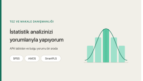 SPSS veri analizi  yapmaktayım