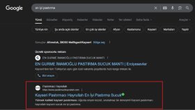 Pastırmacı Hayrullah - Seo Çalışması