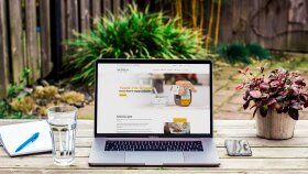Profesyonel web sitesi