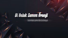 Sunum Örneği 2