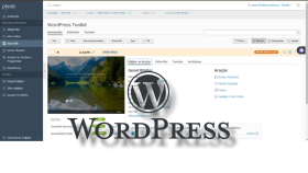 kurumsal veya kişisel wordpress sitenizi kurabilirim
