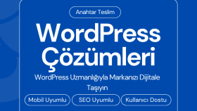 Wordpress ile bağlantılı tüm işlerinize yardımcı olabilirim