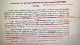 proofreading/ revision