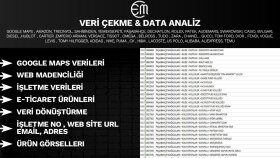 veri çekme veri kazıma veri analizi yaparım