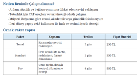  İngilizce Türkçe metin çevirisi yapıyorum