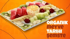 Meyve Tabağı