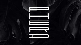 Piera - Ajans Logo Tasarımı