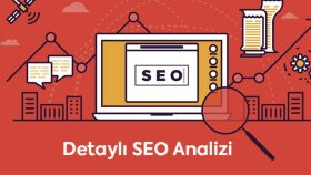 yazılım uzmanlığımla web sitenize detaylı seo analiz yaparım
