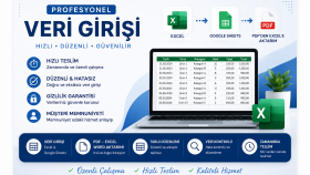  Excel, ve veri girişi hizmeti sunuyorum