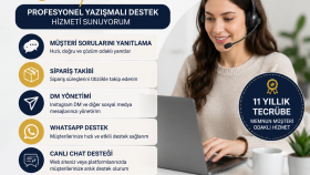 profesyonel veri girişi ve e-posta yönetimi yaparım