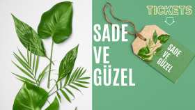 Sade ve Güzel