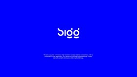 Bigg - Technology Startup