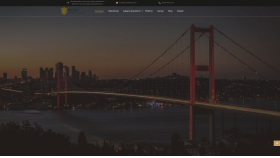 Profesyonel WordPress Geliştirici