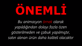 sizin isteğinize göre 2D Animasyon yaparım