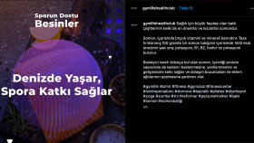Sosyal Medya Marka Yönetimi