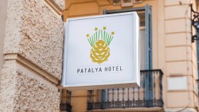 profosyonel etkili logo yaparım