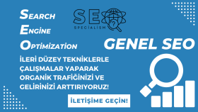 aylık profesyonel SEO/GEO yaparak organik trafiği arttırırım