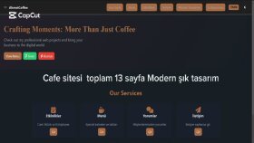 Modern Web Siteleri yaptım kafe/araç/mimar