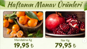  ihtiyaçlarınıza özel tasarımlar hazırlarım