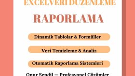  yapay zeka veri düzenleme ve Google Sheets raporu yaparım