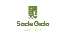 sizler için profesyonel bir logo tasarlayabilirim