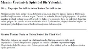 seo uyumlu ve özgün blog yazıları yazabilirim