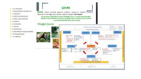 Ofis Programlarına & Kalite Yönetim Sistemlerine Destek