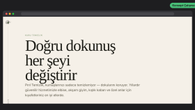 Kuru Temizleme İşletmesi Web Sitesi | Konsept Çalışma