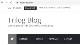 Trilog Blog - Wordpress Çalışması