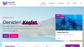 Wordpress Tema kurulum ve demo yüklemesini yapabilirim