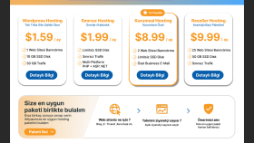 Venitron - Modern Hosting & Domain Arayüz Tasarımı