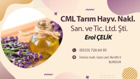 KARTVİZİT