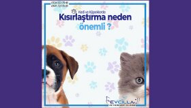 Sosyal Medya Tasarımları