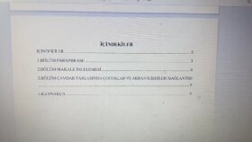 Burada yaptığım işlerin biçimsel özelliklerini göreceksiniz 