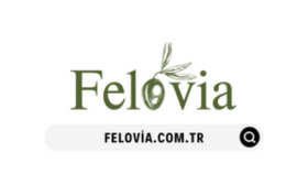 Felovia - Güvenlik, tasarım çalışmaları