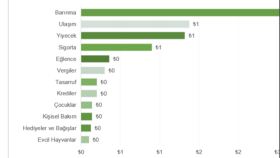 Excel verilerinizi  tablo ve grafik haline getiririm