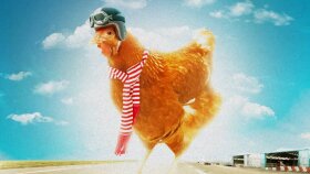 Pilot Chicken