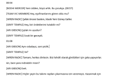 Örnek çeviriler